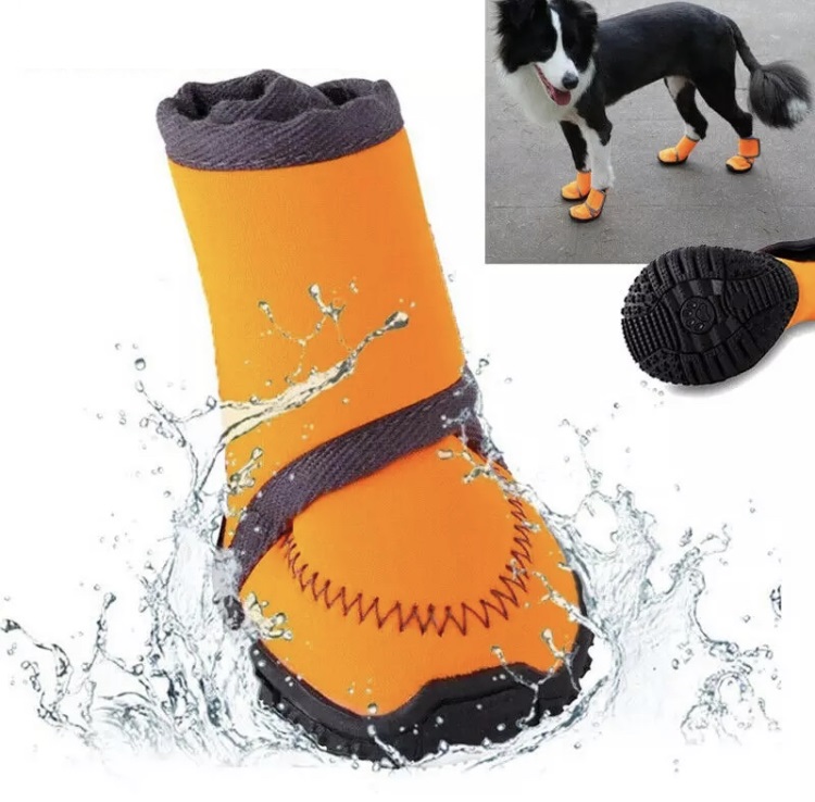 Prumya dog boots cheap